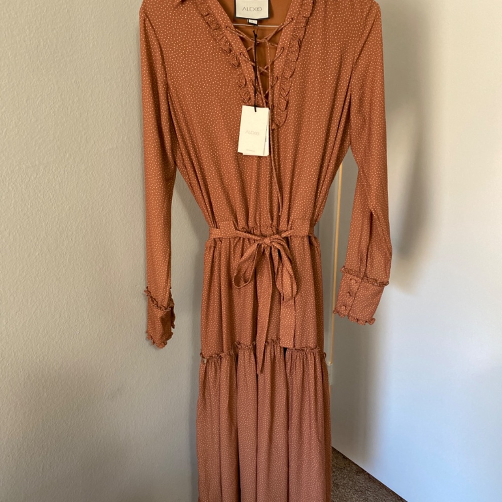 Alexis Genna T-Length Dress - Picture 4 of 12